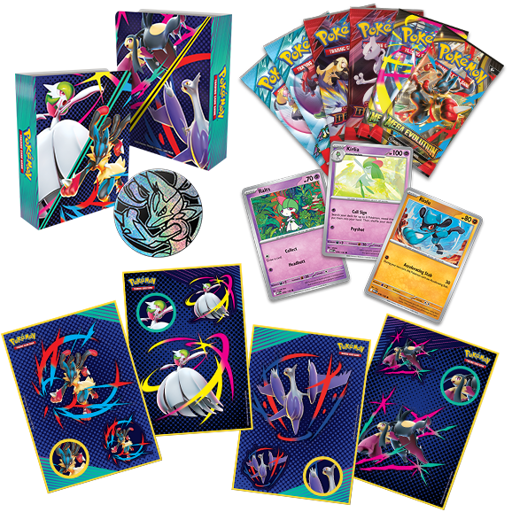 Collector Chest (Fall 2025) - Card Cavern