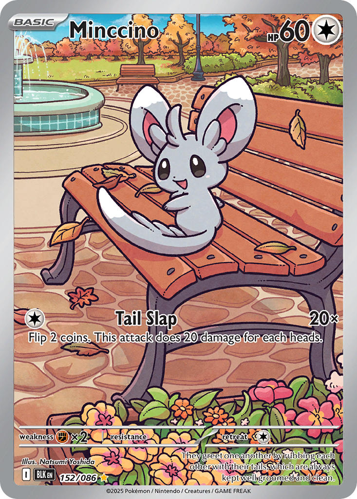 Minccino - 152/086 - Black Bolt - Holo - Card Cavern