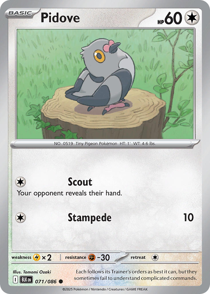 Pidove - 071/086 - Black Bolt - Card Cavern