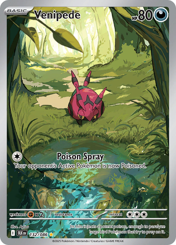 Venipede - 132/086 - Black Bolt - Holo - Card Cavern