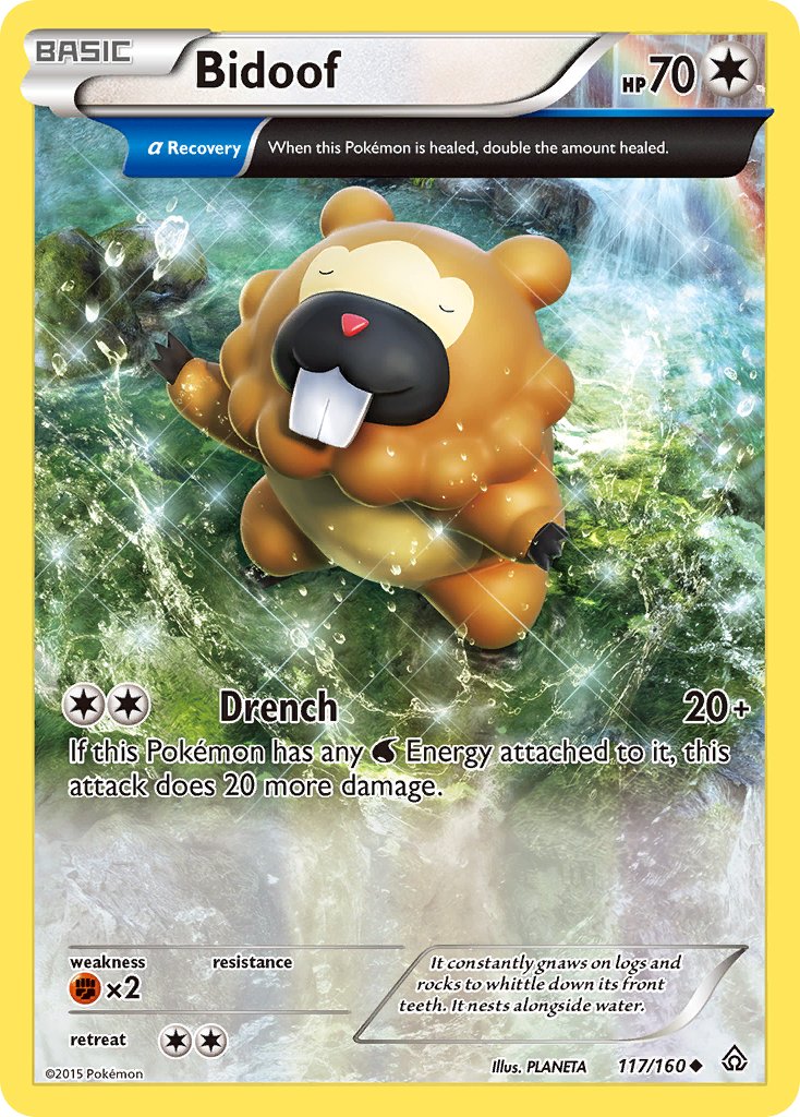 Bidoof - 117/160 - Primal Clash - Card Cavern