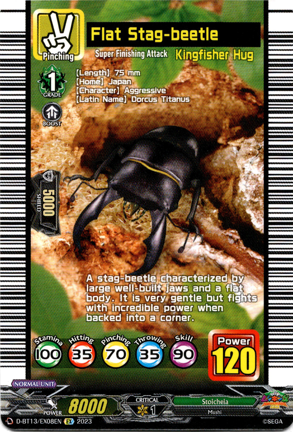 Flat Stag-beetle - D-BT13/EX08EN - Flight of Chakrabarthi - Card Cavern