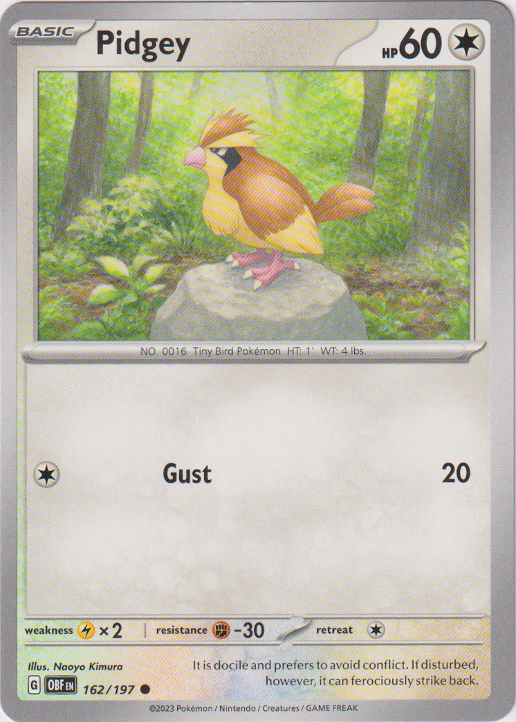 Pidgey - 162/197