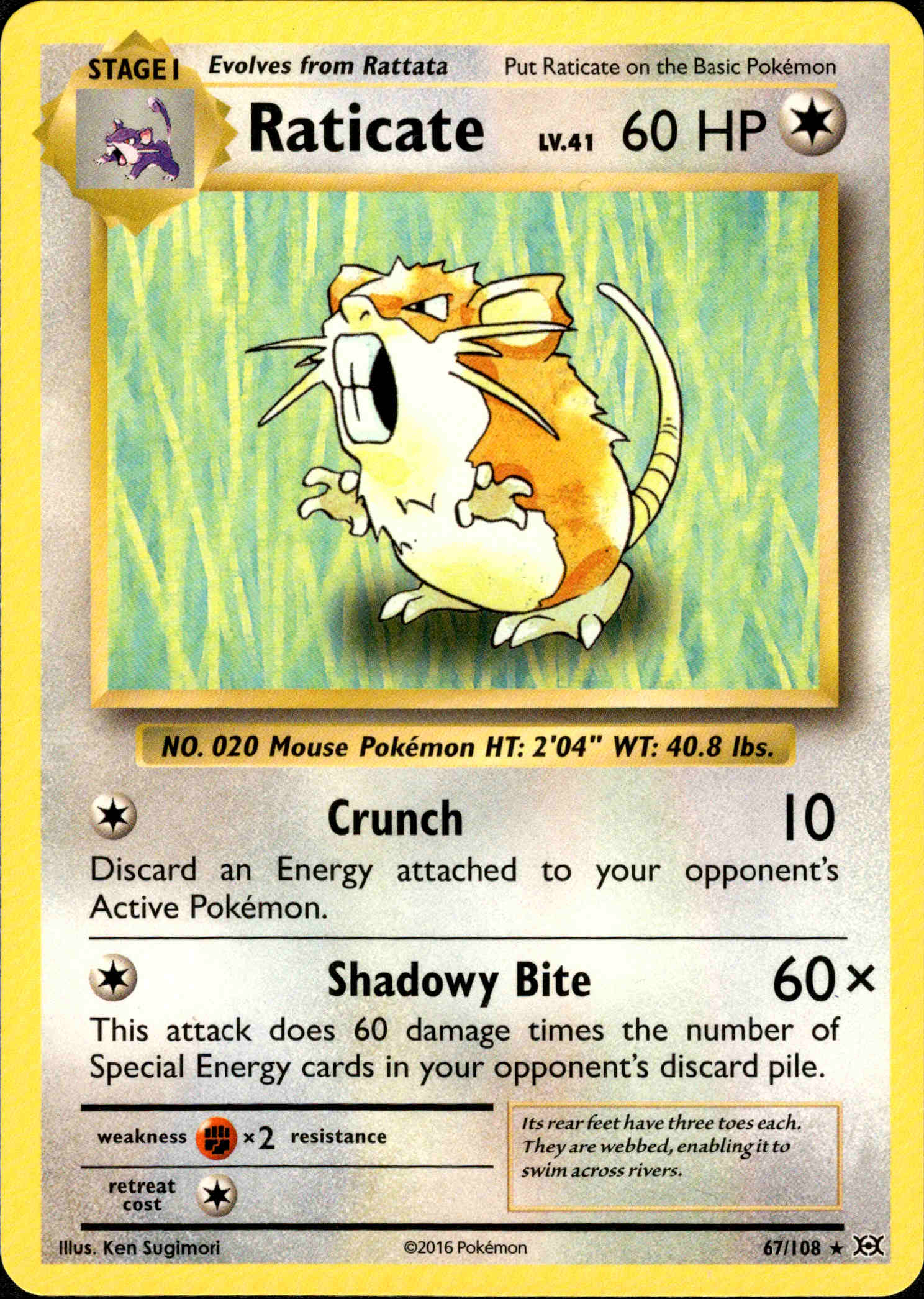 Raticate - 67/108 - Evolutions - Card Cavern