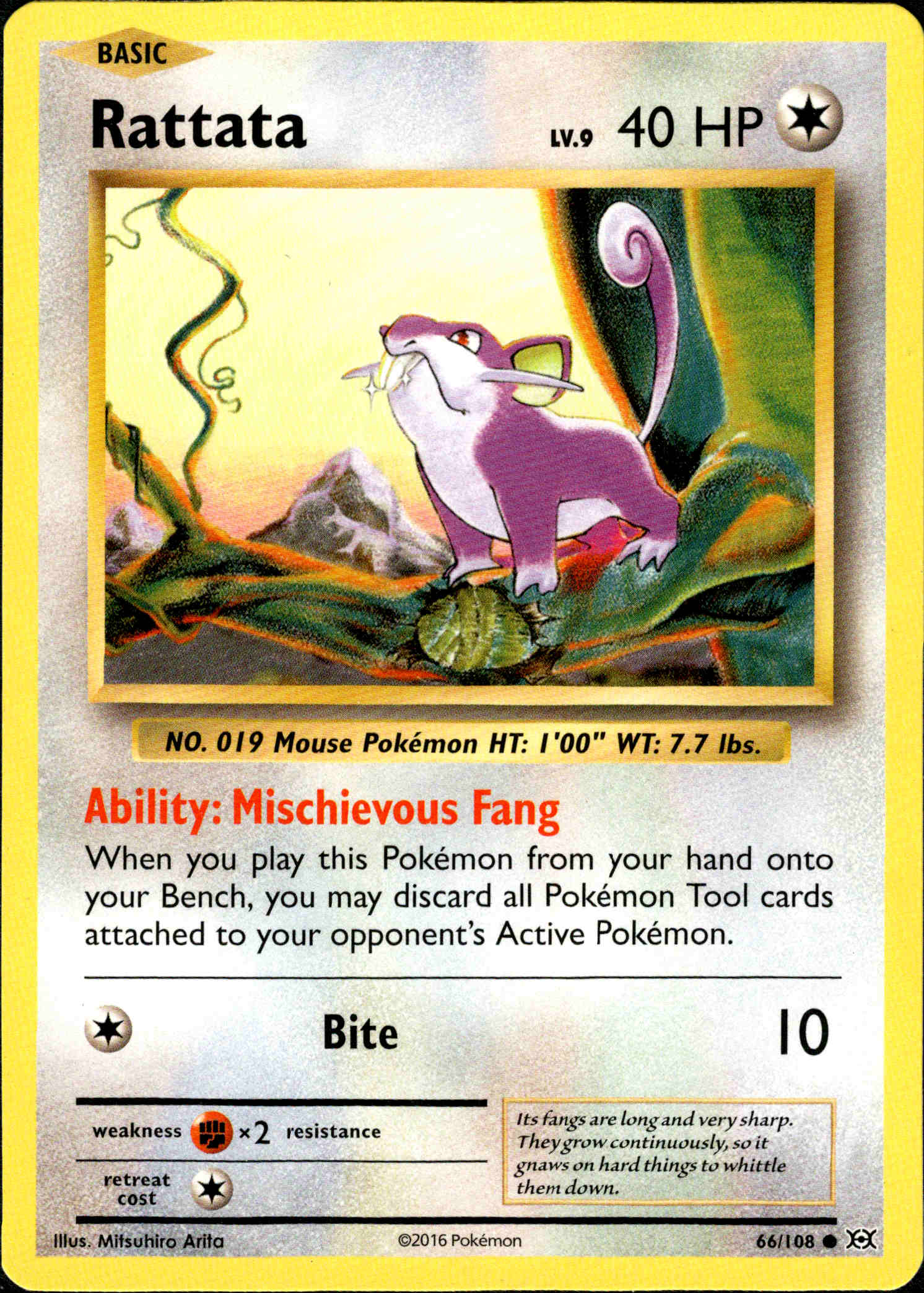 Rattata - 66/108 - Evolutions - Card Cavern