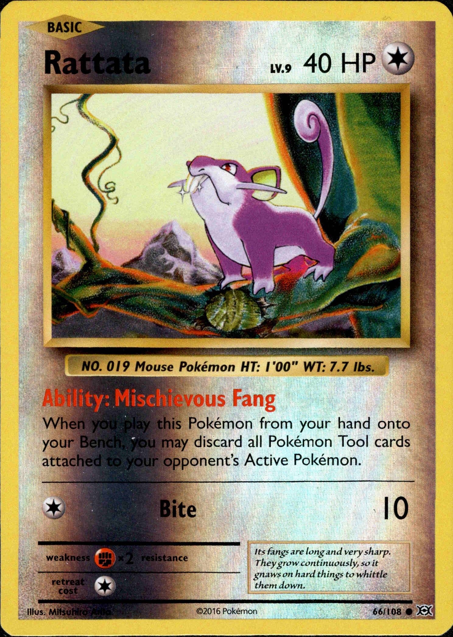 Rattata - 66/108 - Evolutions - Reverse Holo - Card Cavern