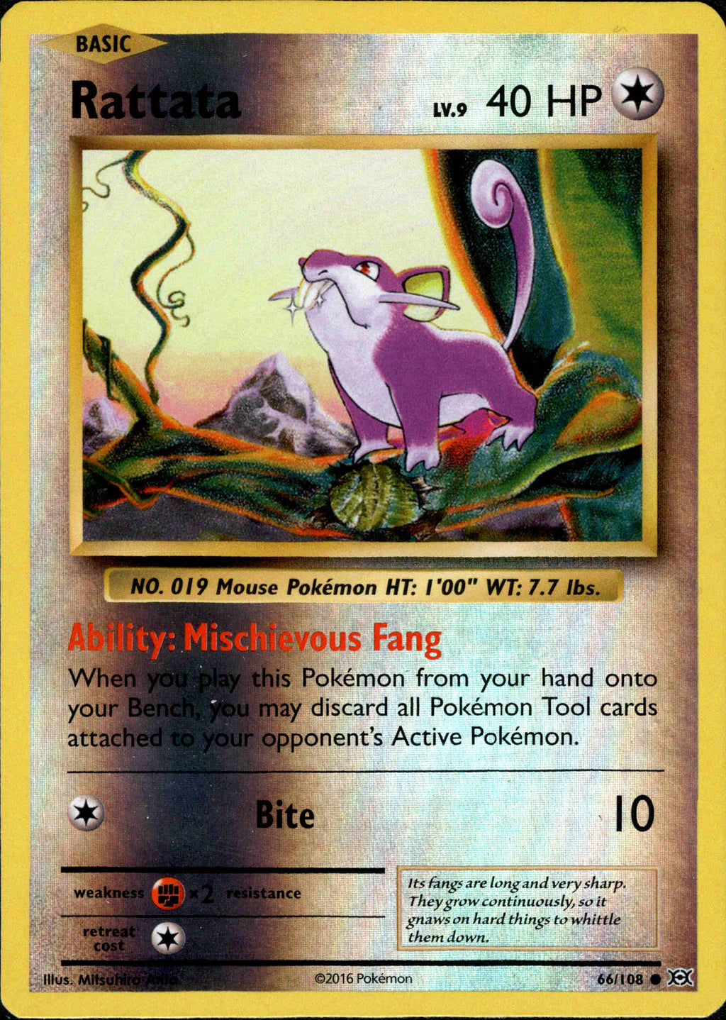 Rattata - 66/108 - Evolutions - Reverse Holo Rattata - 66/108 - Evolutions - Reverse Holo