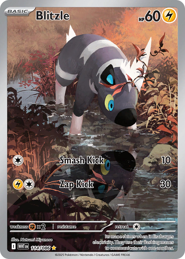 Blitzle - 114/086 - White Flare - Holo - Card Cavern