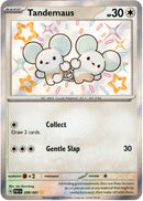 Tandemaus - 209/091 - Paldean Fates - Holo - Card Cavern