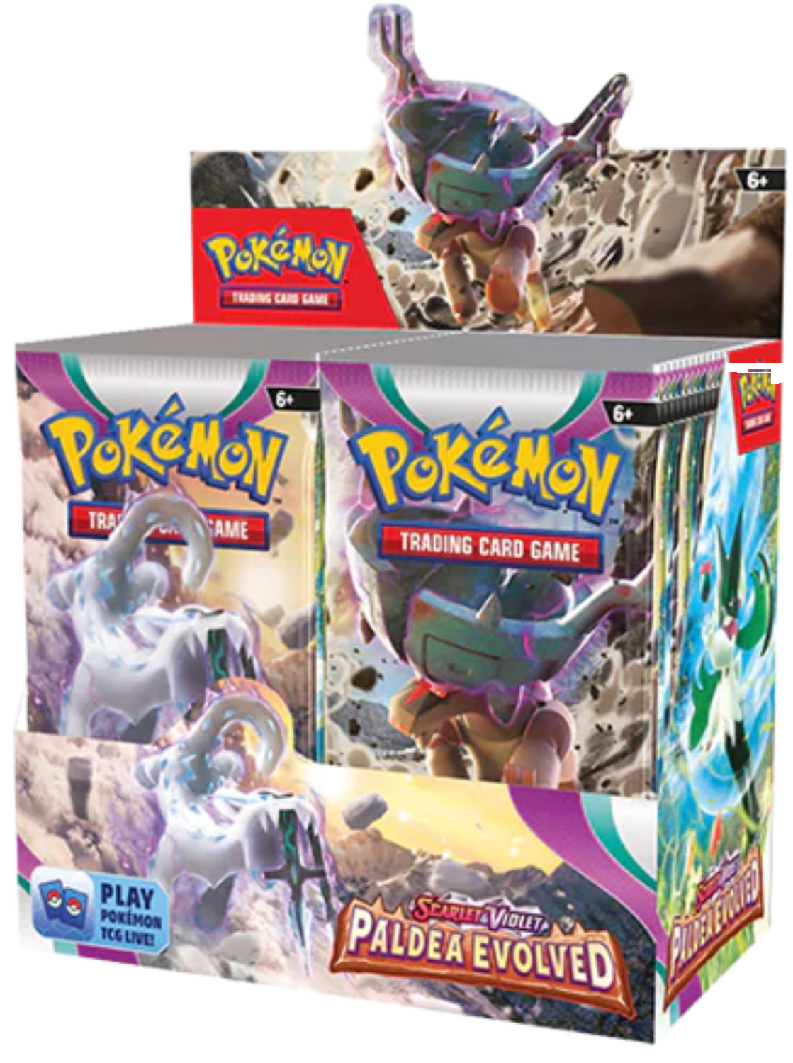 Paldea Evolved Booster Box - Card Cavern