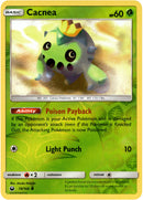 Cacnea - 19/168 - Celestial Storm - Reverse Holo - Card Cavern