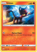 Litten - 20/181 - Team Up - Card Cavern