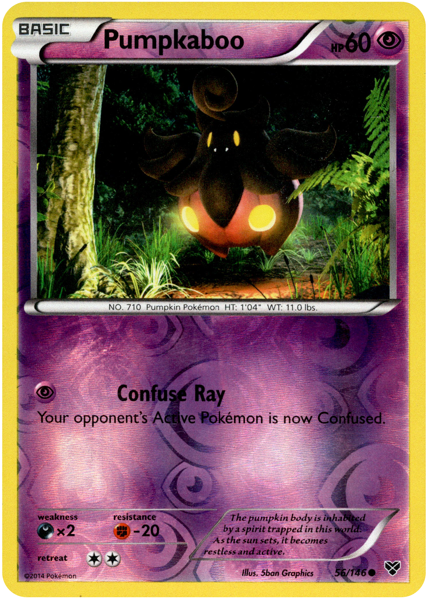 Pumpkaboo - 56/146 - XY Base - Reverse Holo - Card Cavern