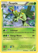 Sceptile - 8/116 - Plasma Freeze - Holo - Card Cavern