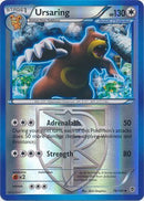 Ursaring - 76/101 - Plasma Blast - Reverse Holo - Card Cavern