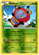 Volbeat - 8/146 - XY Base - Reverse Holo - Card Cavern