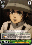 Gabi: Warrior Candidate - AOT/SX04-T08 TD - Card Cavern