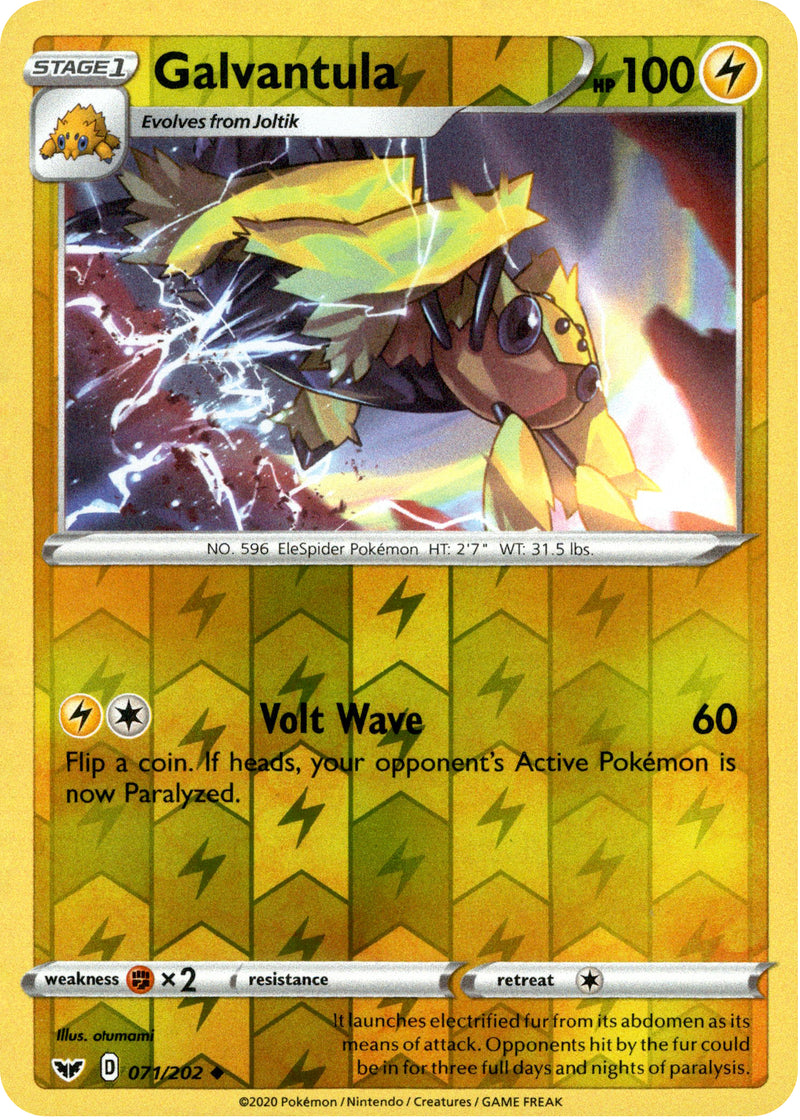 Galvantula - 71/202 - Sword & Shield - Reverse Holo Card Cavern Trading Cards, LLC Galvantula - 71/202 - Sword & Shield - Reverse Holo Card Cavern Trading Cards, LLC