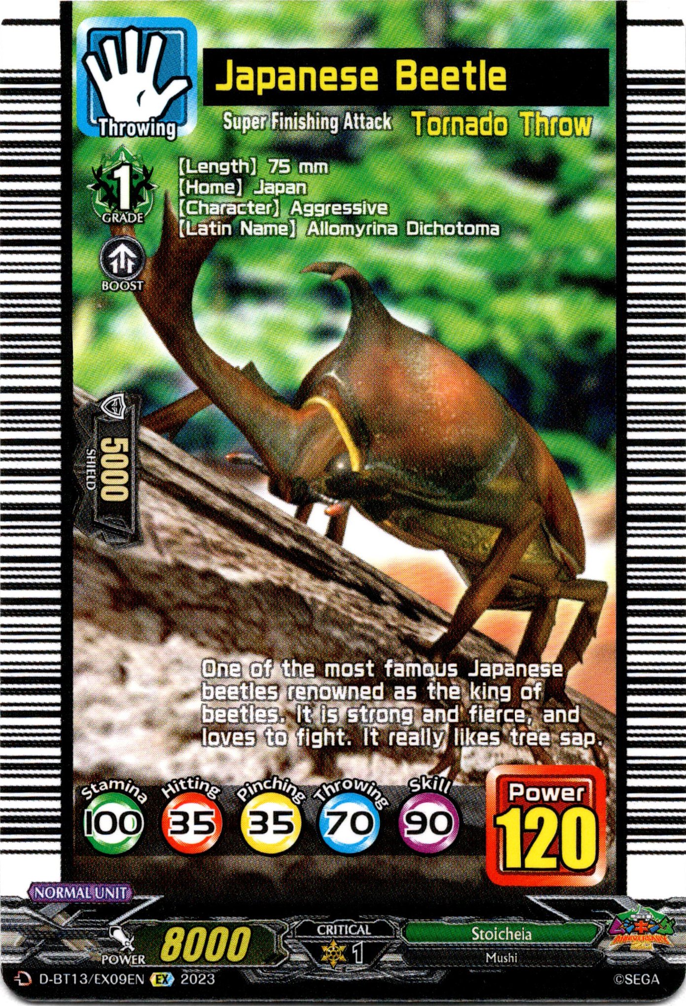 Japanese Beetle - D-BT13/EX09EN - Flight of Chakrabarthi - Card Cavern