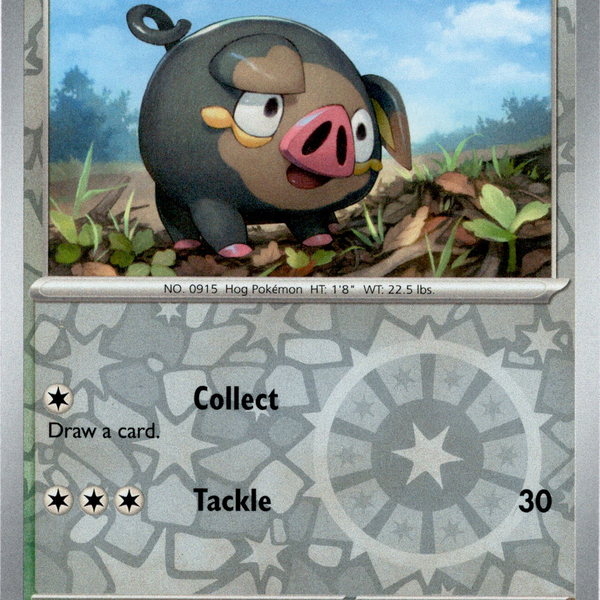 skyridge pokemon card list Pokmon Skyridge Card Checklist