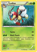 Ledian - 7/146 - XY Base - Card Cavern