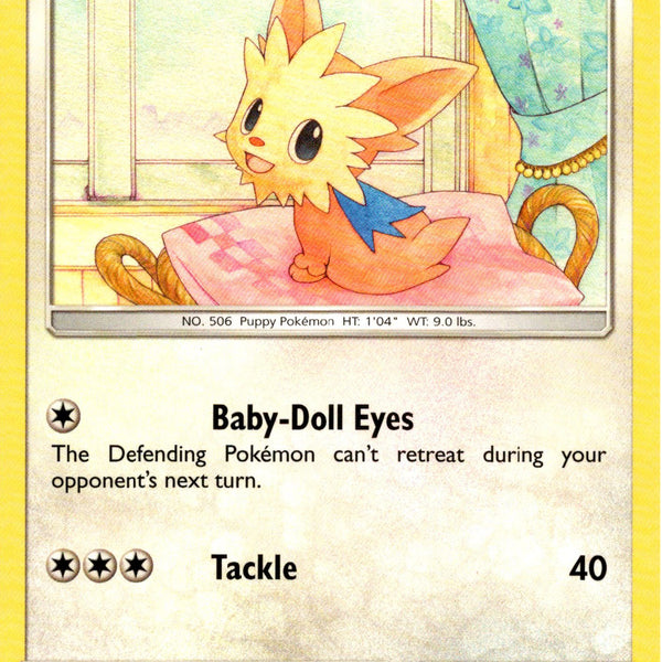 Lillipup - 174/236