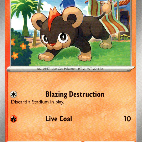 Litleo - 031/293