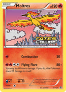 Moltres Prerelease - XY127 - XY Promo - Card Cavern