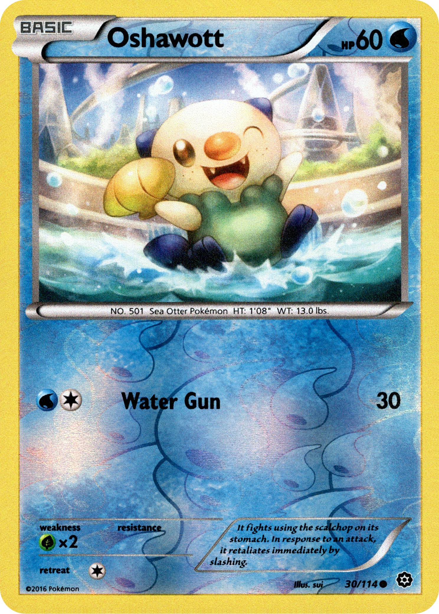 Oshawott - 30/114 - Steam Siege - Reverse Holo - Card Cavern