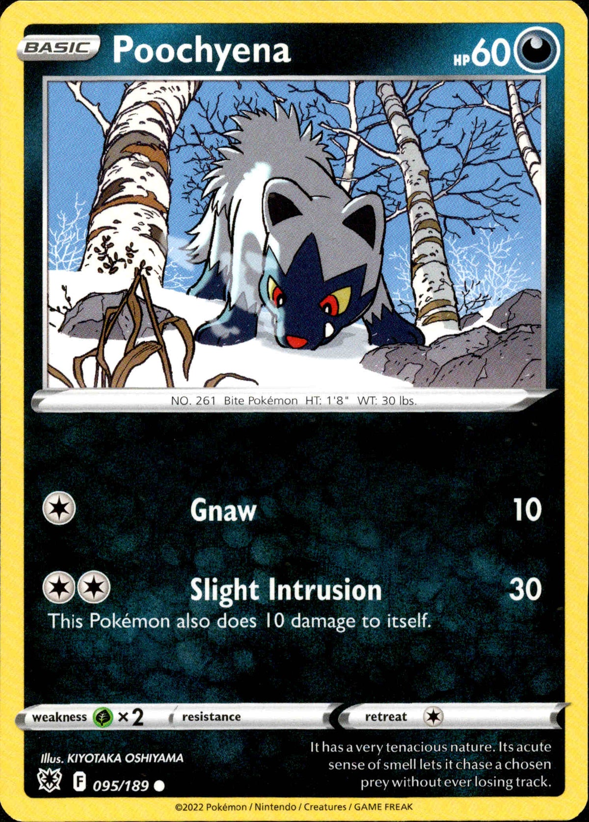 Poochyena - 095/189 - Astral Radiance - Card Cavern