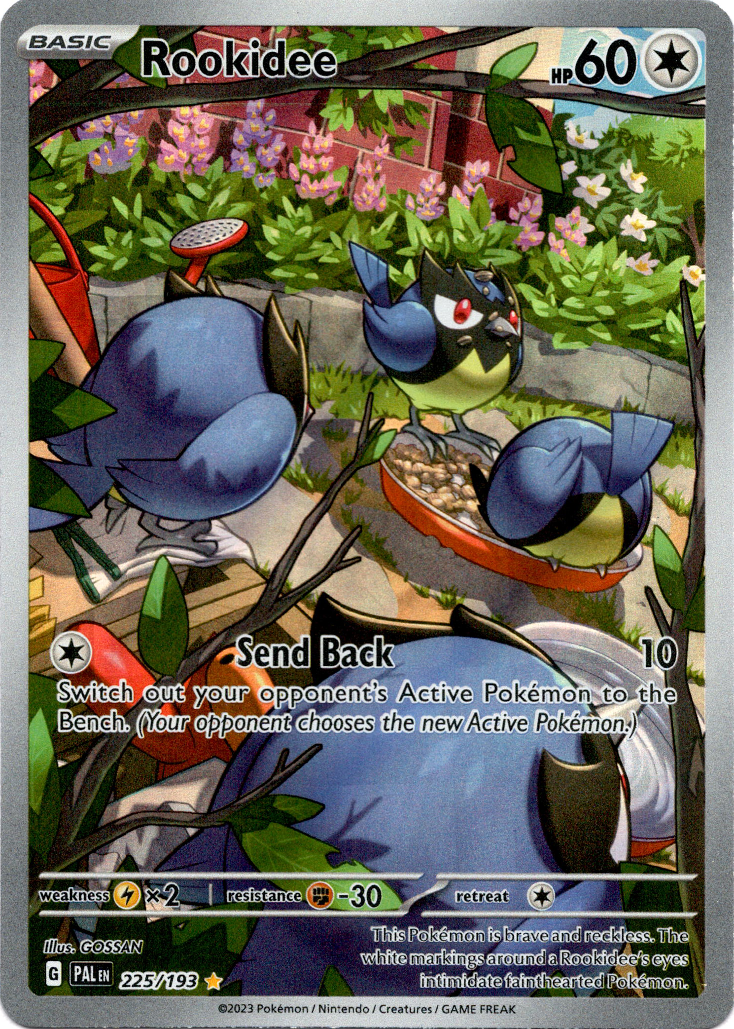 Rookidee - 225/193 - Paldea Evolved - Holo – Card Cavern Trading Cards, LLC