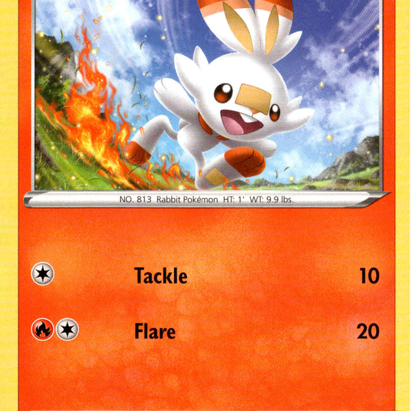 Scorbunny - 31/202