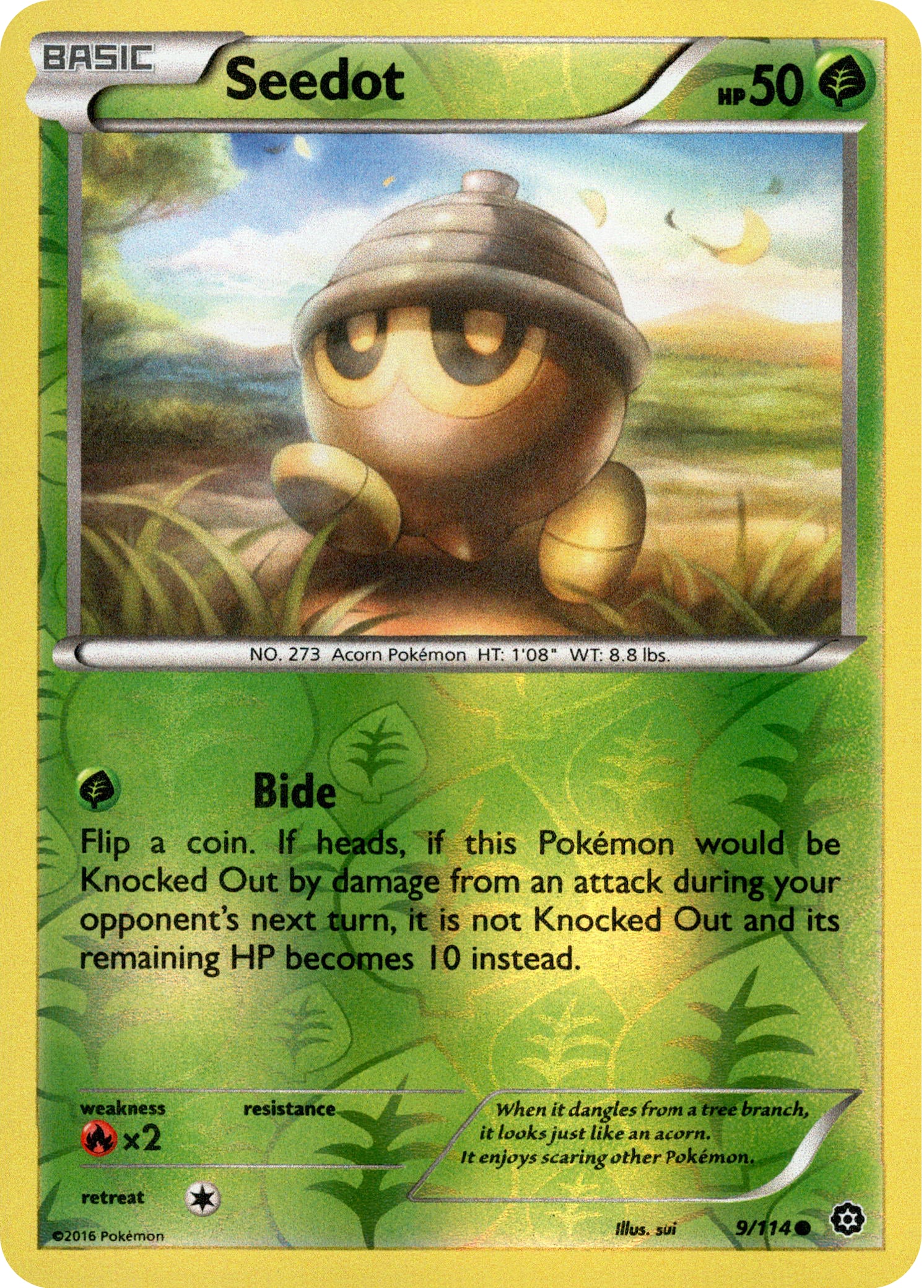 Seedot - 9/114 - Steam Siege - Reverse Holo - Card Cavern