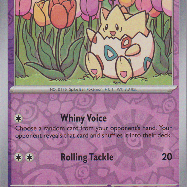 Togepi - 083/197 - Obsidian Flames - Reverse Holo Card Cavern Trading Cards, LLC Togepi - 083/197 - Obsidian Flames - Reverse Holo Card Cavern Trading Cards, LLC