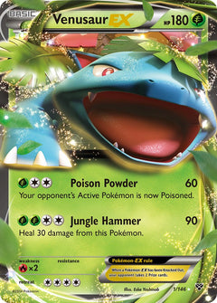 Venusaur EX - 1/146 - XY Base - Holo - Card Cavern