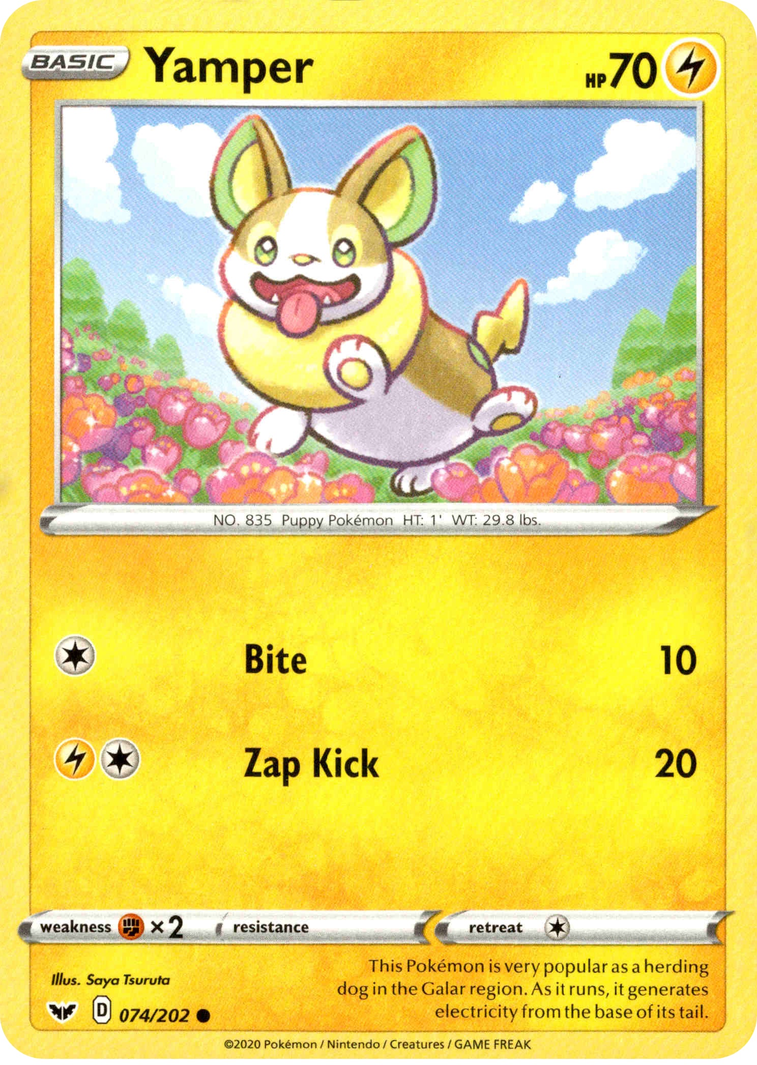 Yamper - 74/202 - Sword & Shield - Card Cavern