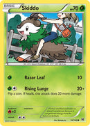 Skiddo - 16/162 - BREAKthrough - Card Cavern